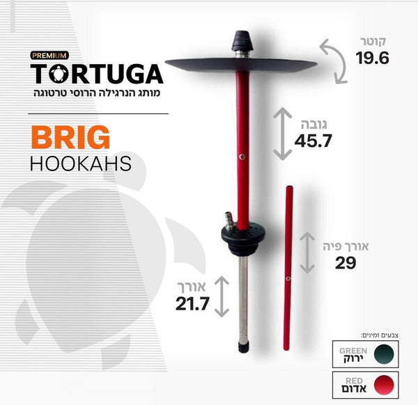 TORTUGA